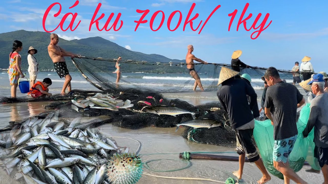 Cá Ku Xuất Khẩu Bán 700k/ 1ký Tại Biển Mân Thái