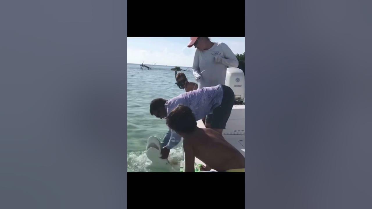 THIS MAN LOST HIS PINKY TO A SHARK?! (EXPLAINING THE BACKSTORY TO VIRAL