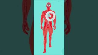 Struttura e Funzione delle Proteine | Biochimica Sanitaria #biochimica #protein #healthcare