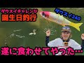 遂にダウスイエイトが食われる【誕生日釣行】