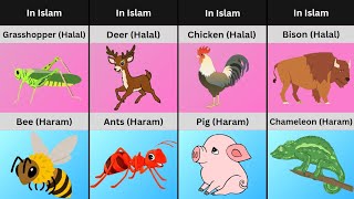 Halal Vs Haram Animals In Islam Religion