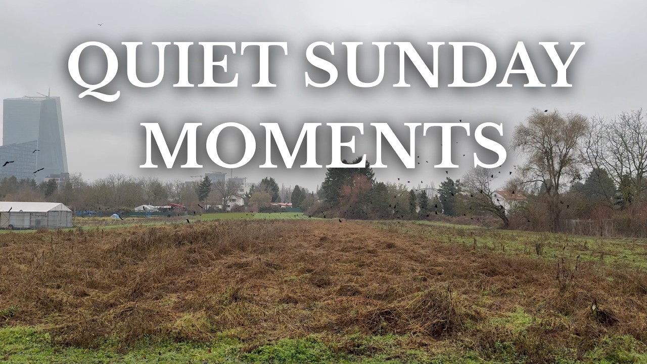 [Daily Life] Quiet Sunday at Home in Germany | Silent Home Routine ...