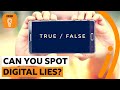 Understanding Misinformation and Its Impact