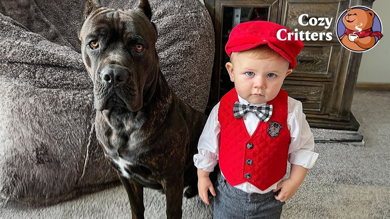 He Looked Like A Gorilla — Until He Met Our Baby | Cozy Critters