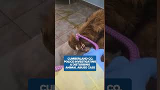 Cumberland Co. police investigate distrurbing animal abuse case, a reported assault in MAGA Town