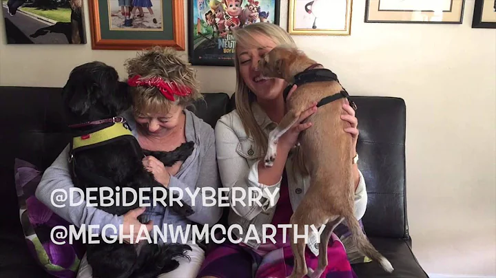 Meghan McCarthy and Debi Derryberry talk for Dogs ...