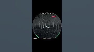 Hunting wtih 1280*1080 thermal scope is amazing