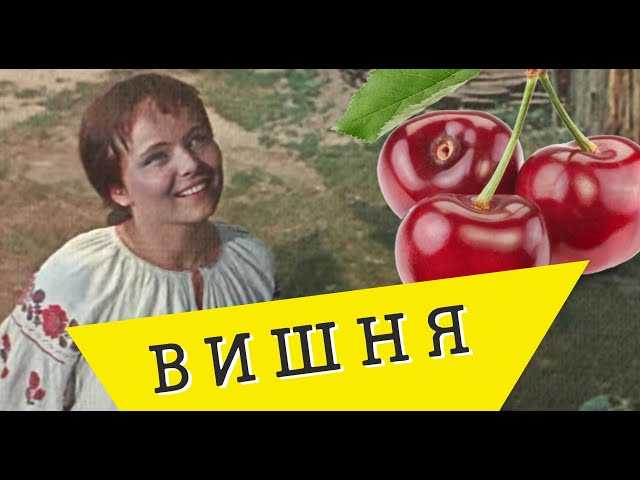 ПИТЕРСКАЯ СВЕТЛАНА - ВИШНЯ