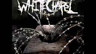 Video thumbnail of "Devirgination Studies - Whitechapel (2013)"