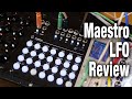 Acid Rain Technology Maestro LFO Review