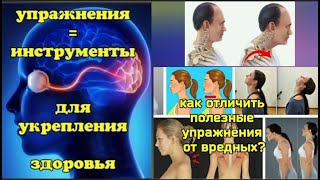 Закаменевшие, болезненные мышцы шеи вызывают деградацию мозга. Как оживить шейные мышцы? Упражнения