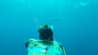 Spearfishing with Cameron Kirkconnell Scorpiontail Action Camera Mount WAHOO