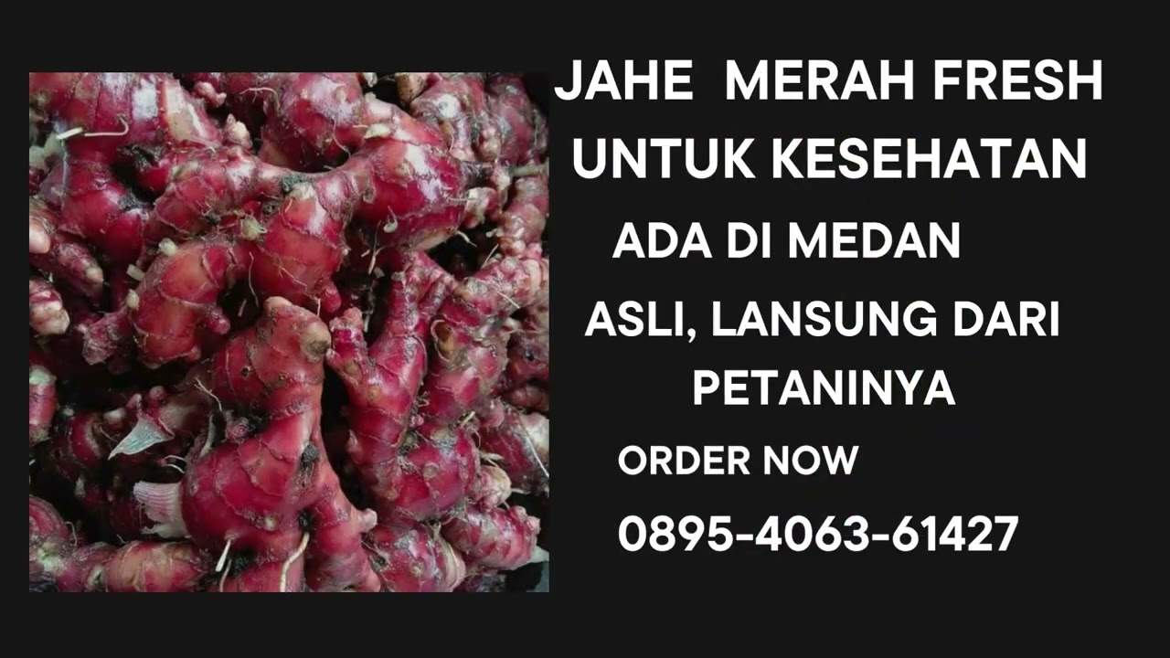 0895-4063-61427(Tel/Wa),Jual grosir jahe merah asli murah terdekat di medan padang