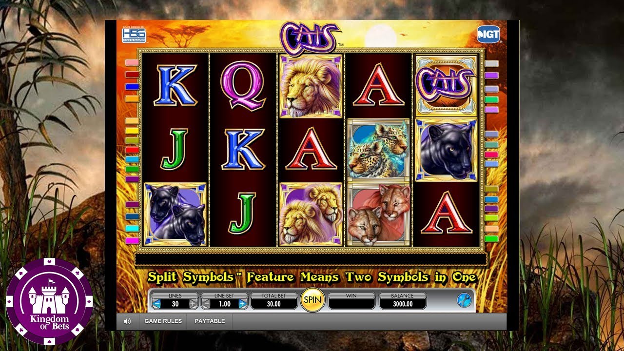 Cats online slot by IGT