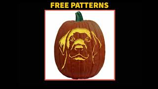 Free Dog Pumpkin Carving Patterns