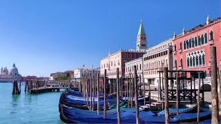 ヴェネチアの水路、透明に　新型ウイルスによる封鎖措置が影響か