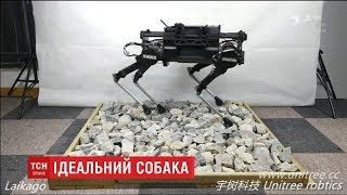 Китайські інженери розробили робота-собаку, яким можна керувати через Wi-Fi Китайські інженери розробили робота-собаку, яким можна керувати через Wi-Fi