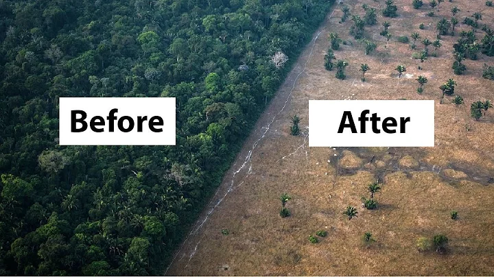 How Brazil's Amazon Rainforest Destruction is Turning into a Desert - Jair Bolsonaro Amazon Lula