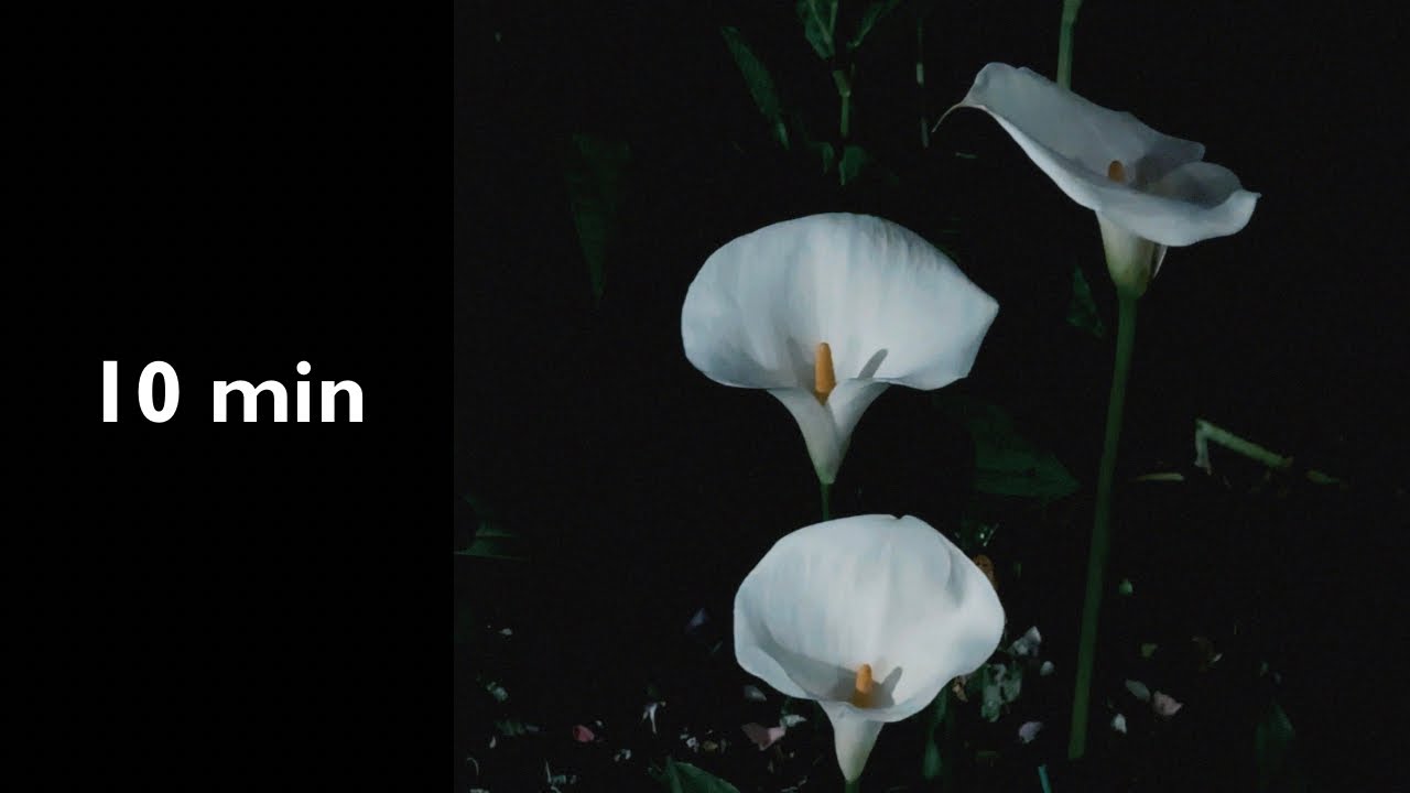 10 min timer for Relax Before Sleep | OS.3 — For when the day is still on your mind