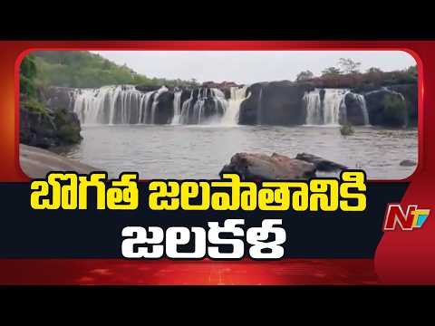 Bogatha Waterfalls: బొగత జలపాతానికి జలకళ | NTV Telugu - NTVTELUGU