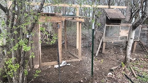 Chicken coop build. Mus ua tsev qaib tom teb tau  nyob saib qaib
