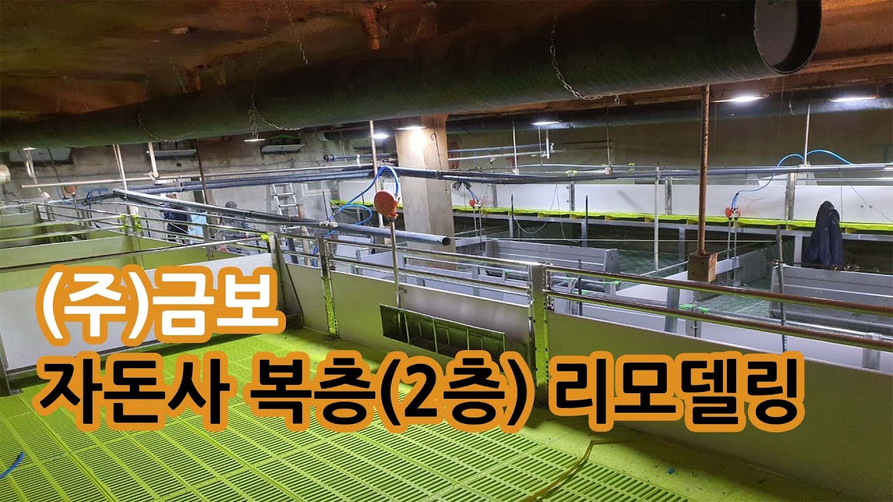 [금보] 자돈사 복층(2층) 리모델링 시공/돈사 신축/돈사 리모델링/축사 리모델링/스마트팜/ICT스마트팜/돈사 시공/자돈사 ...