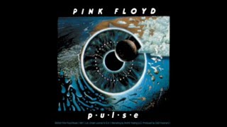 Pink Floyd - Comfortably Numb  (live pulse)
