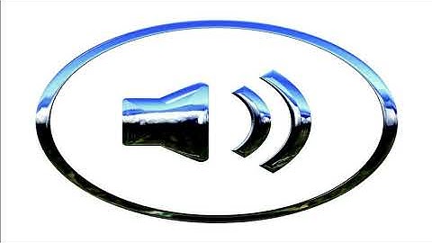 Flapping wings of a bird foley with leather gloves  Very nervous and fast movement