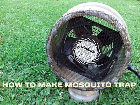How to make Mosquito trap / Insect Killer at home DIY