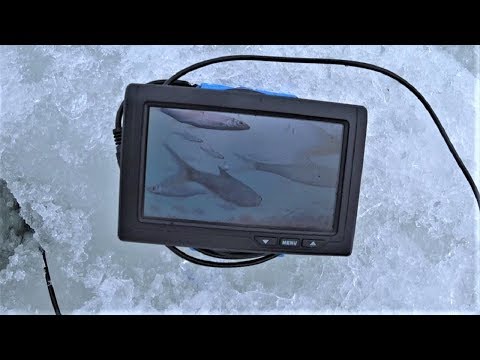ЗИМНЯЯ РЫБАЛКА С ПОДВОДНОЙ КАМЕРОЙ