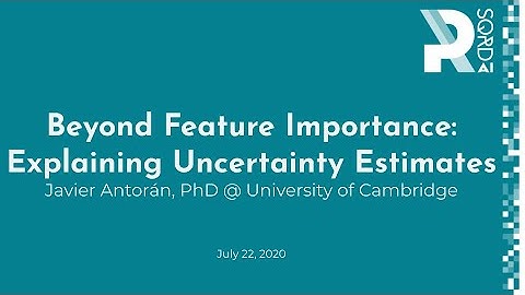 Rsqrd AI - Javier Antorán - Beyond Feature Importance: Explaining Uncertainty Estimates