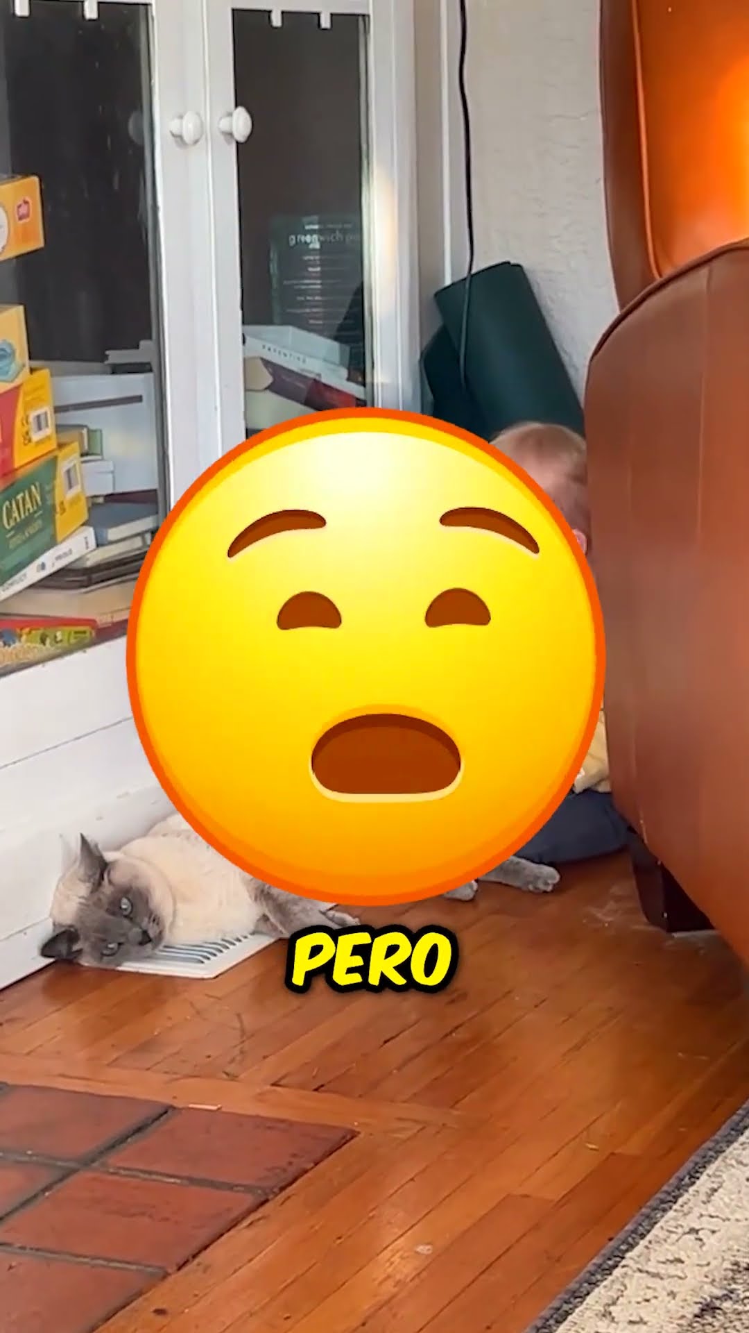 ¡El bebé se vengó de su gato! ? ?