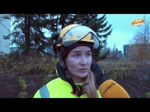 Video: Työkalupakki Kaupunkipuutarhureille