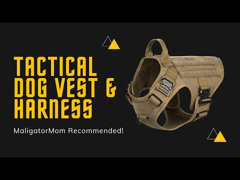  PETAC GEAR Tactical Dog Harness K9 Dog Training Vest Adjustable  Padded Police Service Dog Working MOLLE Vests for Large Medium Dogs Mals  GSD Lab… … : Pet Supplies