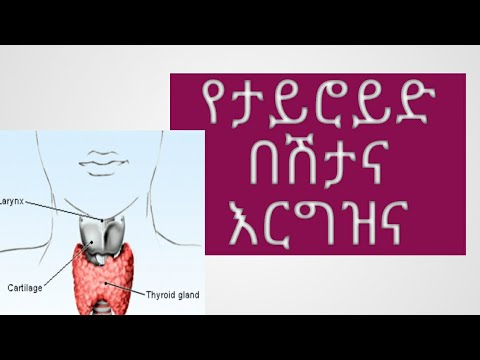 ቪዲዮ: የታይሮይድ ፖዶፊሊየም