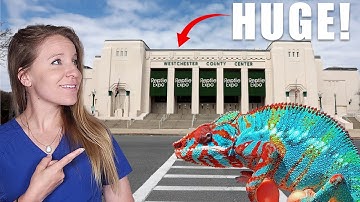 Inside the White Plains Reptile Expo! Crazy Reptiles, Rare Morphs & Big Finds