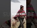 Pan Flute Music from the Andes