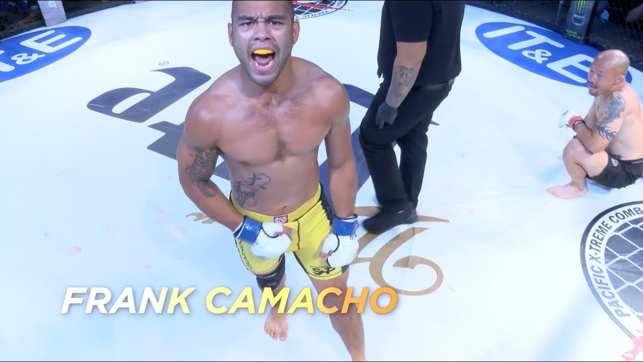 combat protein PXC 50 | PROMO 2