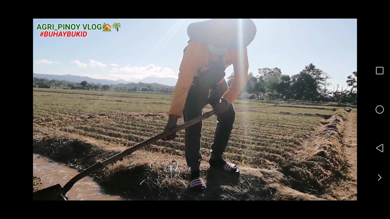 EP 38: Magandang Resulta ng Pagkaka Spray natin ng Select at Oxi Gold laban sa mga Damong Gala