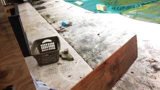 Hurricane Irma (day 2)