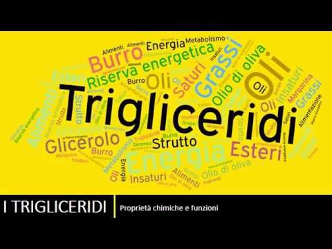 I trigliceridi
