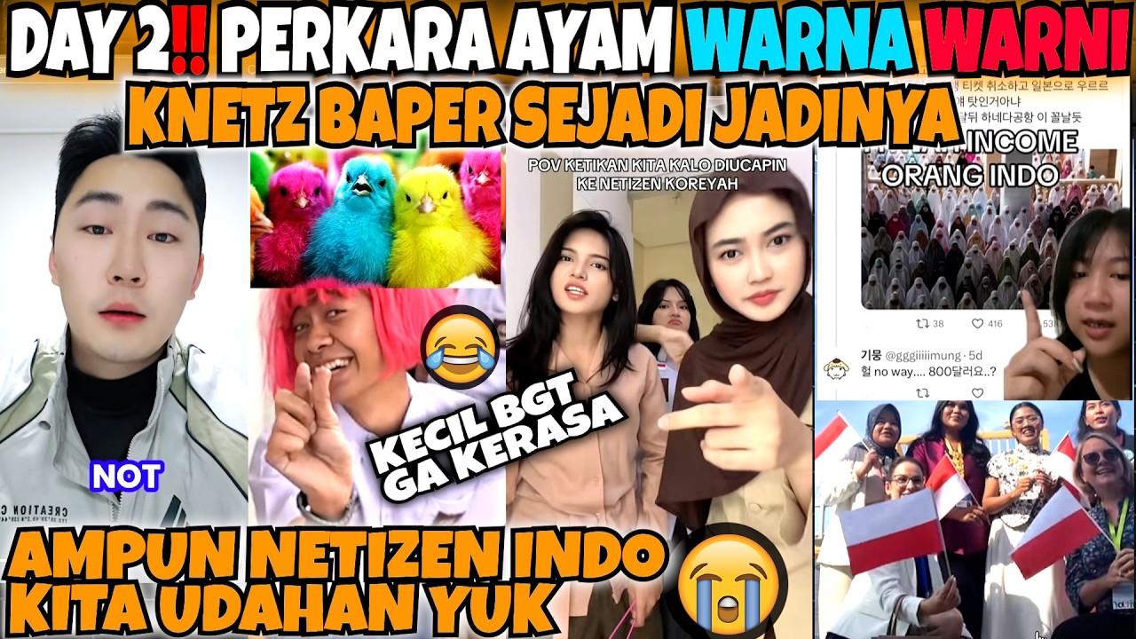 PERKARA AYAM WARNA WARNI🤣‼️NETIZEN KOREA BAPER SEJADI JADINYA‼️URSAN CILOR AJA BELOM BERES BANG‼️