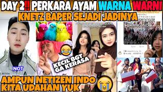 Download Lagu PERKARA AYAM WARNA WARNI🤣‼️NETIZEN KOREA BAPER SEJADI JADINYA‼️URSAN CILOR AJA BELOM BERES BANG‼️ MP3