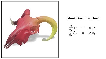 Vector Heat Method -- Fast Forward