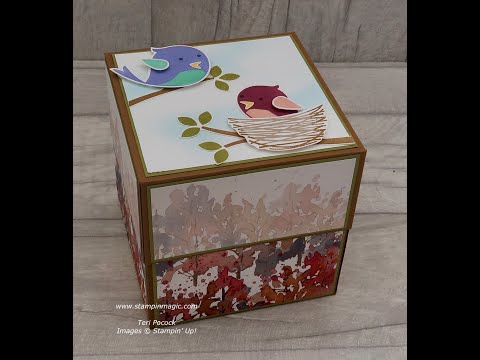 Sweet Songbirds - Gift Box (4