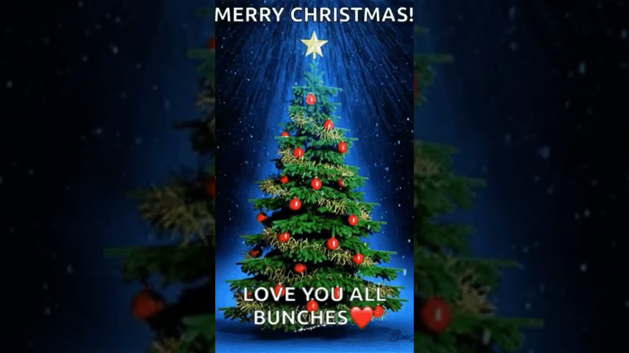 aneawle 🩷sail ka 🩷salam🩷viral video 🩷status 🩷