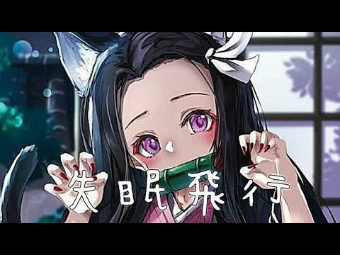 ♬ Nightcore – 失眠飞行 【中文字幕–Lyrics】