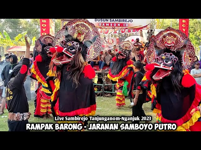 Rampak Barong Jaranan SAMBOYO PUTRO Live Sambirejo Tanjunganom Nganjuk class=