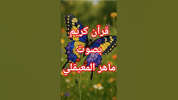 قرآن كريم  بصوت ماهر المعيقلي  صوت جميل وخاشع #quran #اكسبلور #islamicvideo #حكمة_اليوم #توعية_دينية
