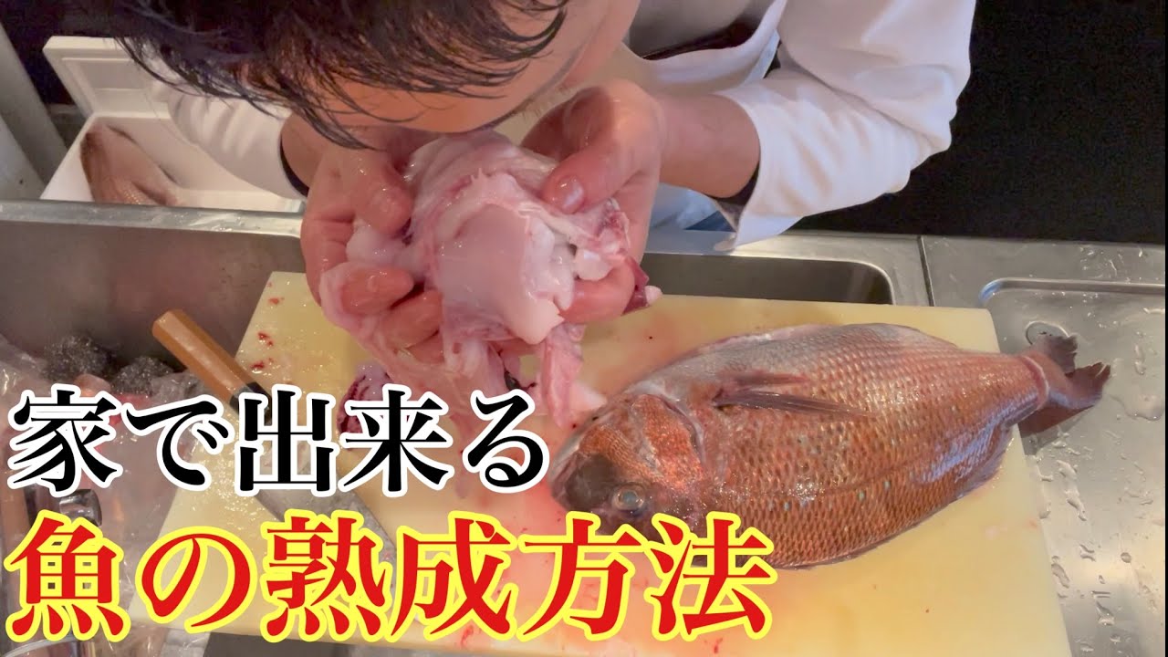家庭でもできる魚の熟成方法🐟#釣り#熟成#sushi
